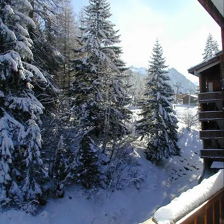 Apartment Au Pied Des Pistes *